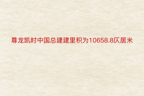 尊龙凯时中国总建建里积为10658.8仄居米